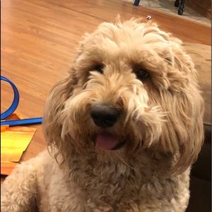 Meet your Posher, Angela